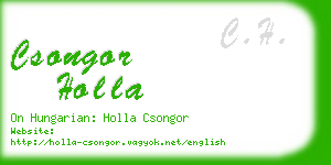 csongor holla business card